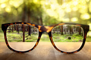 glasses adding transparency and clarity to a forest