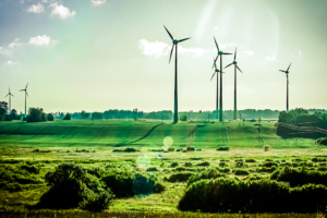 windmills in green field 