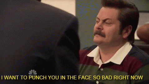 ron swanson punch you in the face parks and rec
