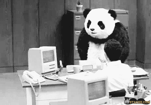 Panda destroying office gif