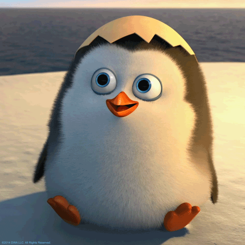 Animated penguin waving gif
