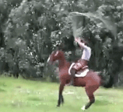 Red Branch relatable GIF