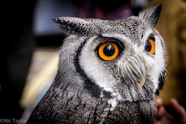 Should Your Office Hours Accommodate Night Owls? | Red Branch Media