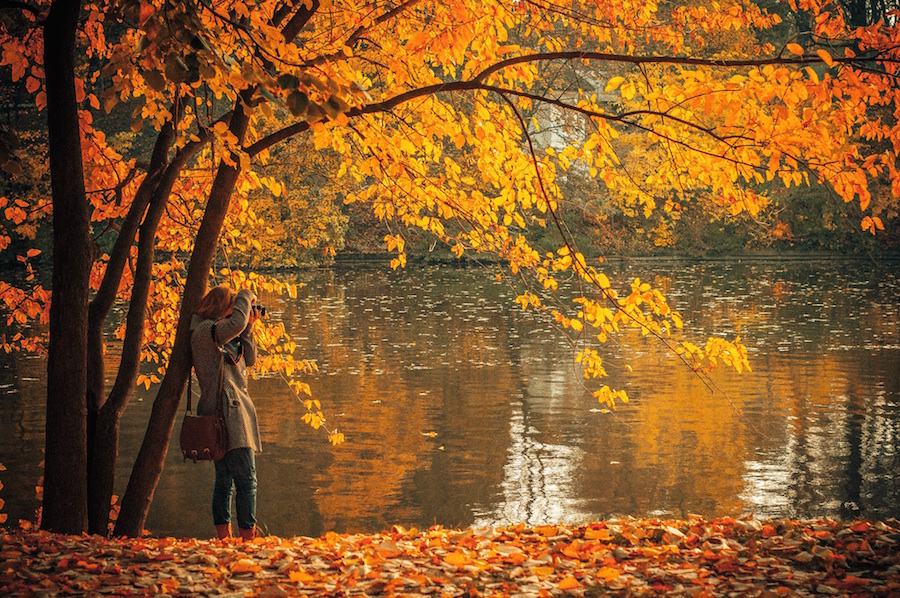 16 Ways to Get Fall Started Off Right